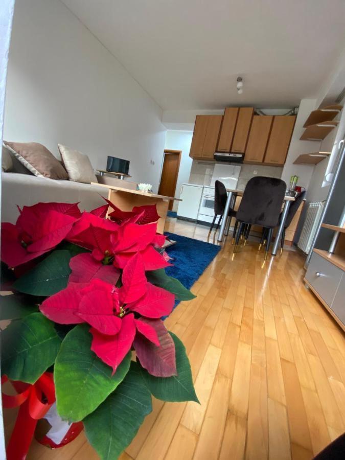 Tea Apartment Üsküp Dış mekan fotoğraf